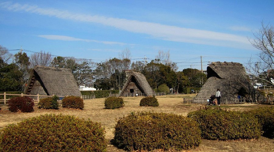 🏞️ 시지미즈카 공원 (Shijimizuka Kōen) 이미지 1